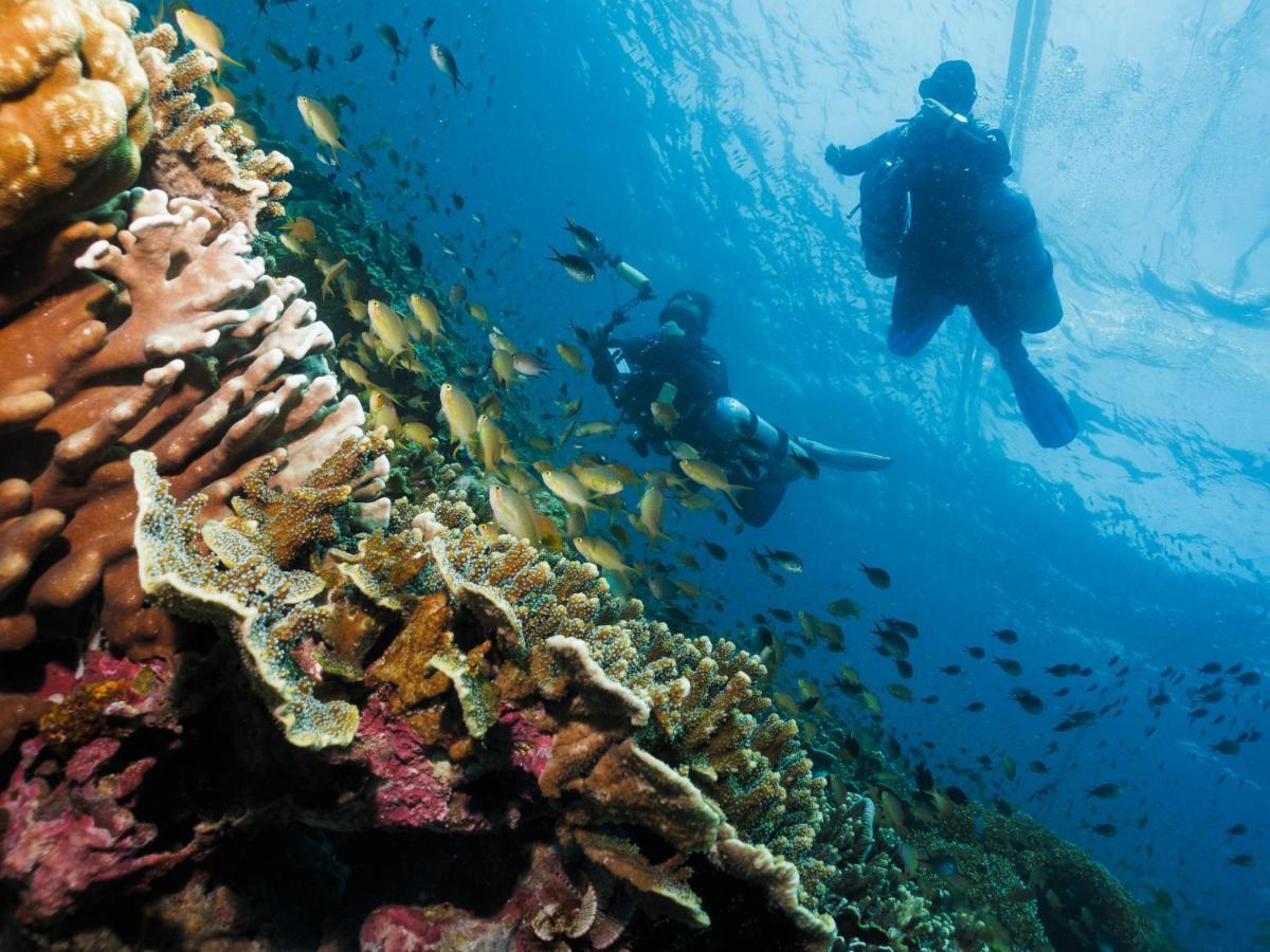 Cebu Seaview Dive Resort Moalboal Extérieur photo